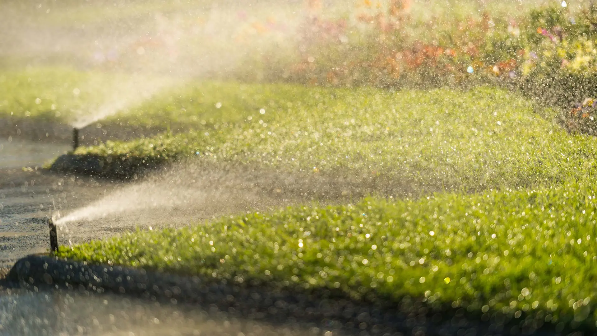 Close up of our clients irrigation system watering the lawn.