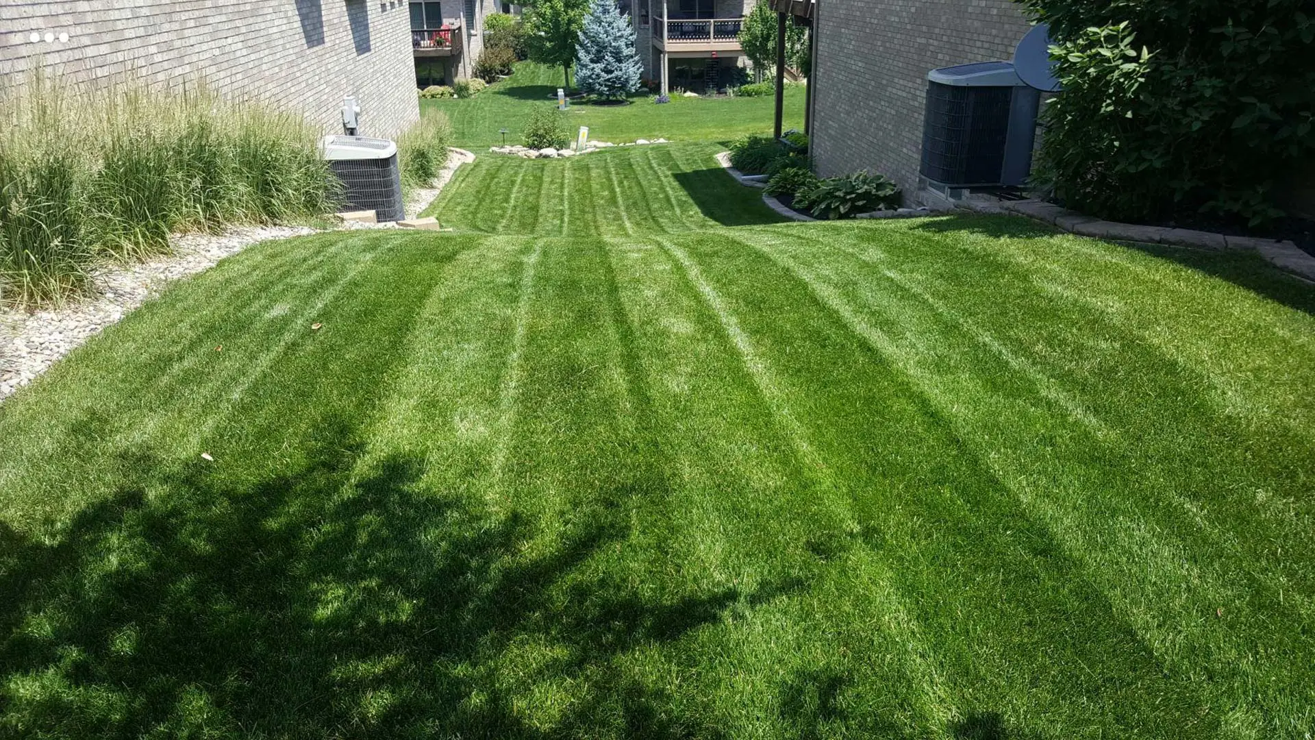 Healthy green lawn that was recently mowed at a home in Lincoln.