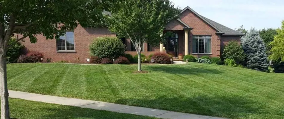 A lawn that was recently mowed with grass stripping at a home in Lincoln.