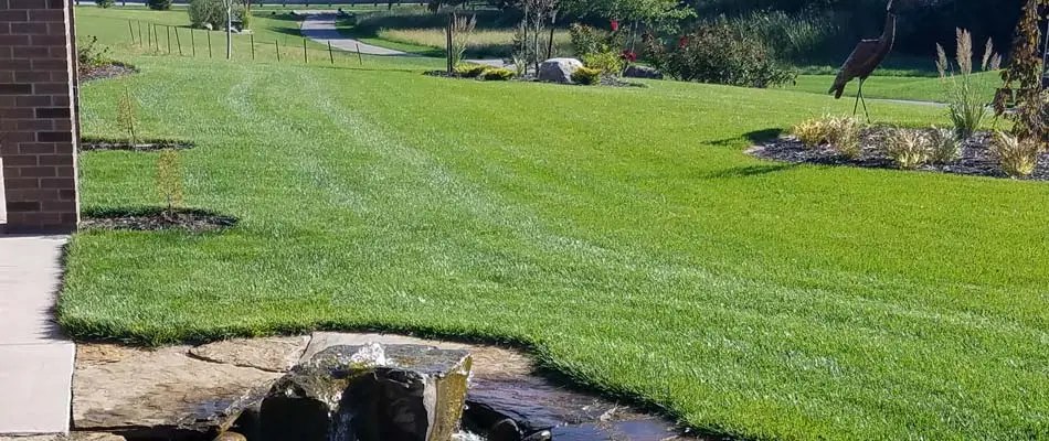 A beautiful, green, lush lawn cared for by our lawn care technicians in Lincoln.