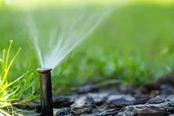 Close up of a sprinkler head that is part of an irrigation system that we installed.